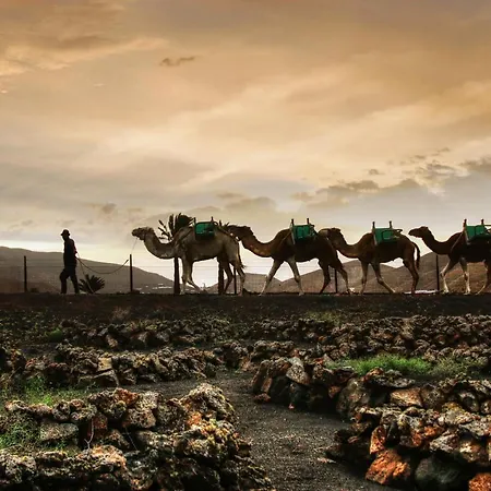 Home2book Sunshine Playa Blanca, Terrace プラヤ・ブランカ