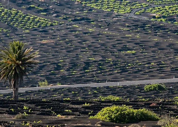 Home2book Sunshine Playa Blanca, Terrace * プラヤ・ブランカ