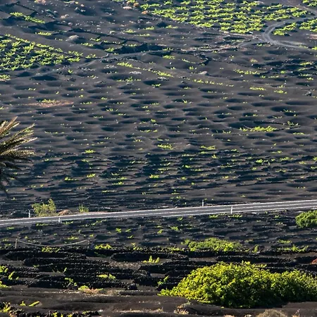 Home2book Sunshine Playa Blanca, Terrace * 普拉亚布兰卡