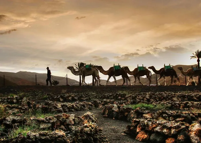 Home2book Sunshine Playa Blanca, Terrace Playa Blanca (Lanzarote)